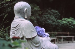 鎌倉３５ｍｍ　㉒