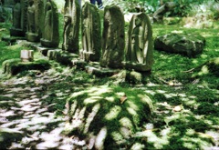 鎌倉 35mm　④