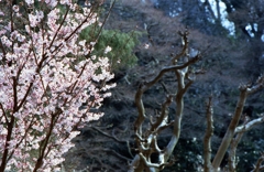 生と死