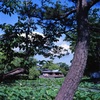 鎌倉 6×6　⑭
