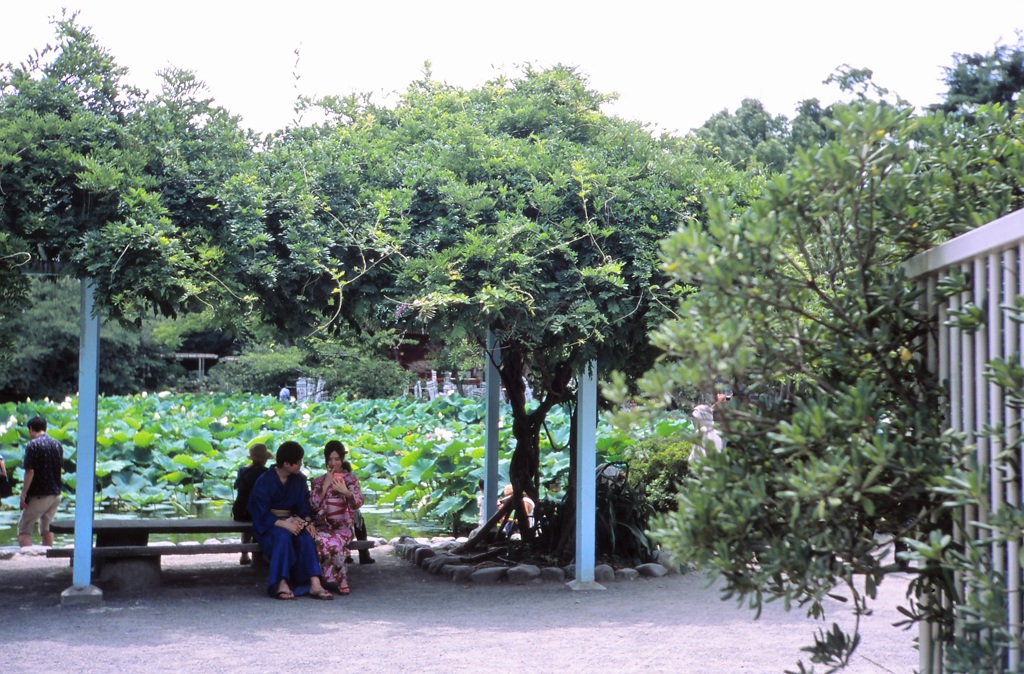 鎌倉３５ｍｍ　⑲
