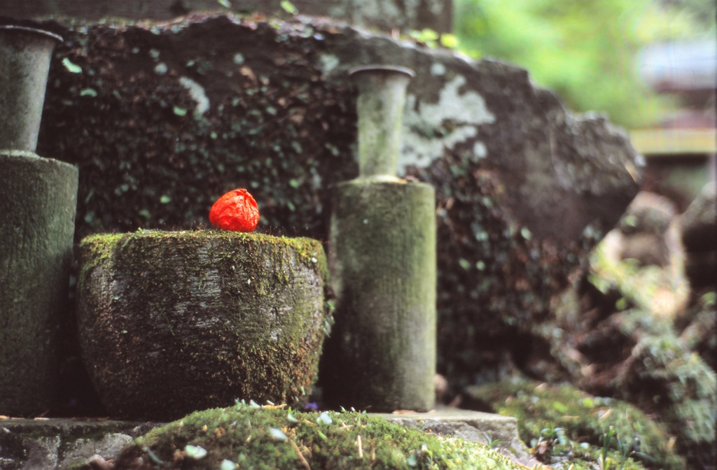 鎌倉３５ｍｍ　⑮