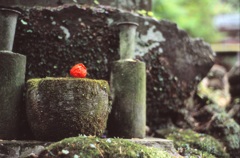 鎌倉３５ｍｍ　⑮