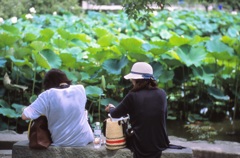 鎌倉３５ｍｍ　⑯