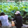 鎌倉３５ｍｍ　⑯
