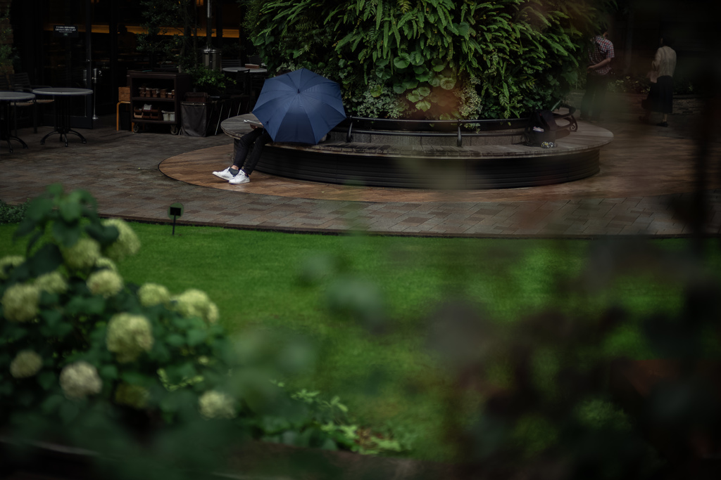 雨佇