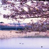 三浦⑤