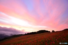 ある日の夕景 ９