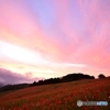 ある日の夕景 ９