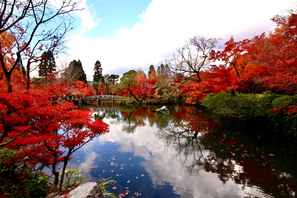 紅葉と映り込み