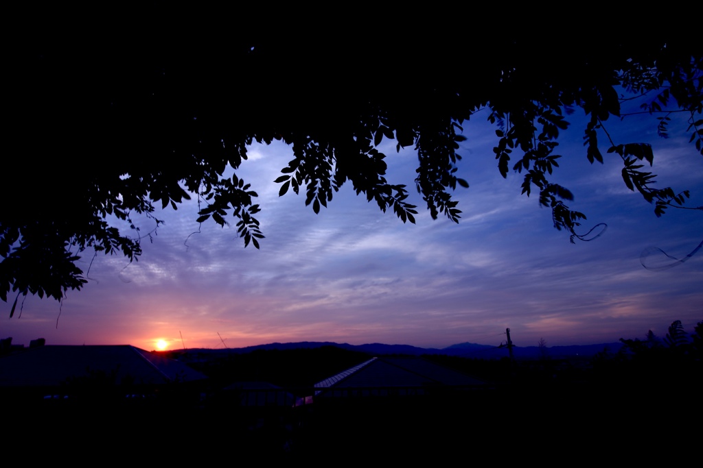 陰と夕陽