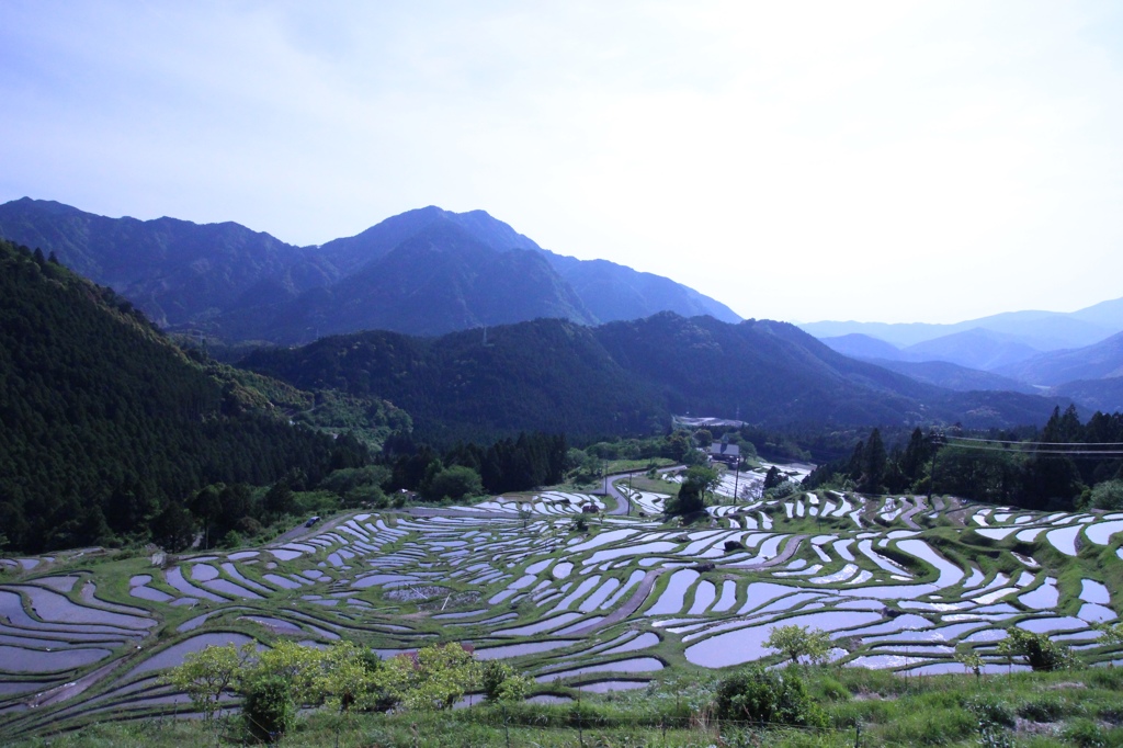 丸山千枚田