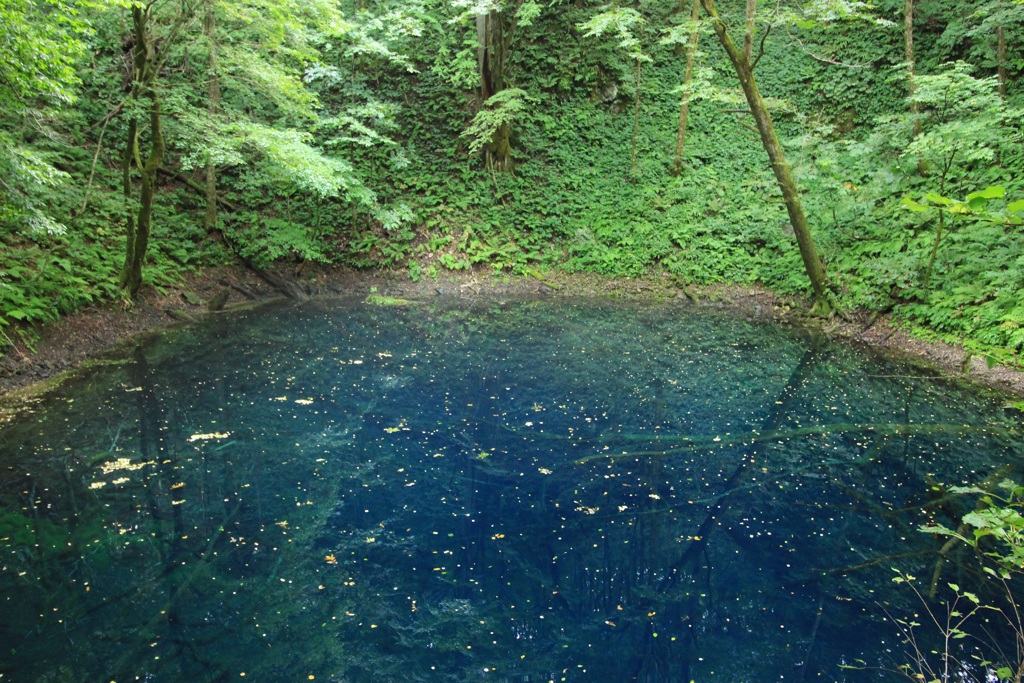青池
