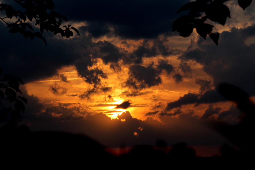 近所の夕日