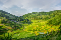 大垪和西の棚田