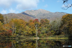 紅葉未満