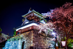 桜城