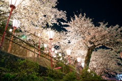 桜川