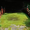 苔むした橋