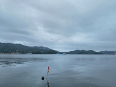 何が釣れるかな？