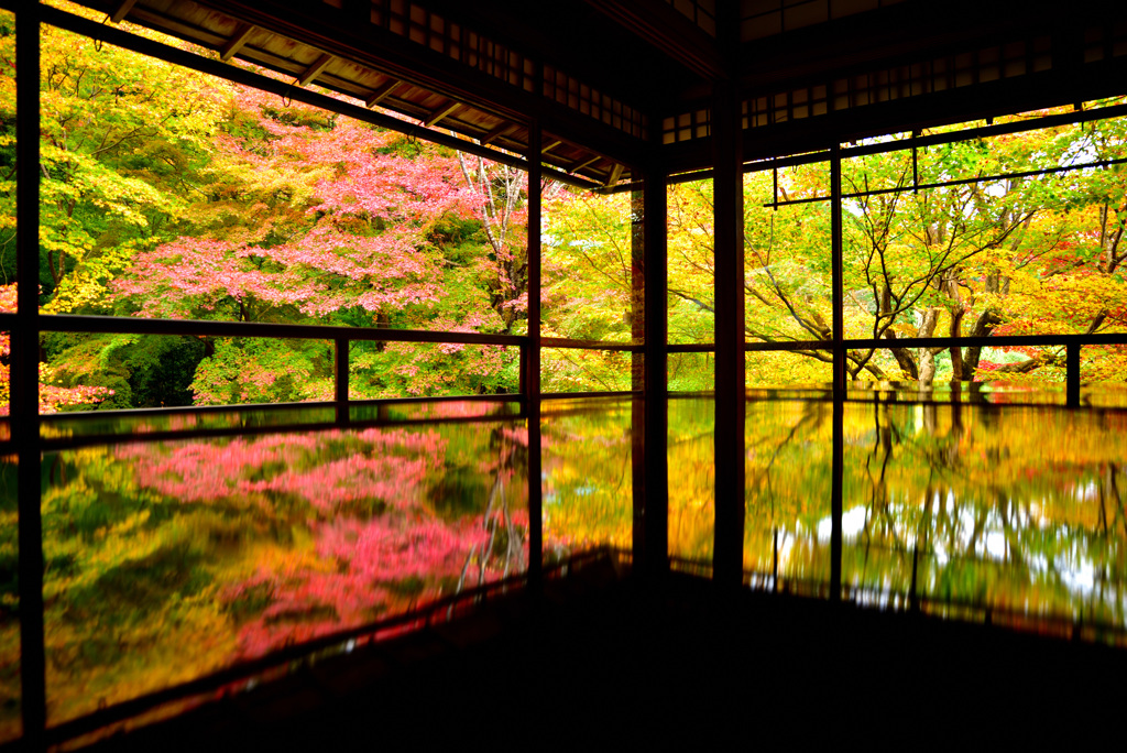 瑠璃光院２