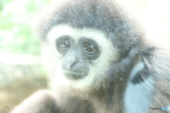 多摩動物公園にて