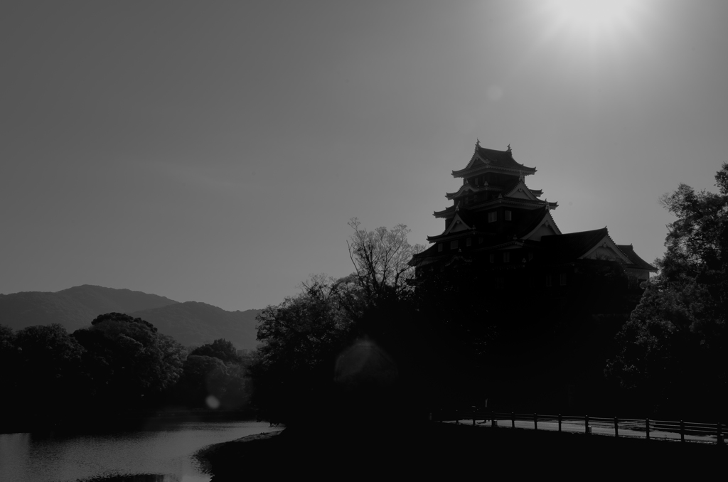 逆光岡山城