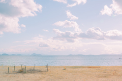 海