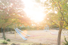 朝の公園