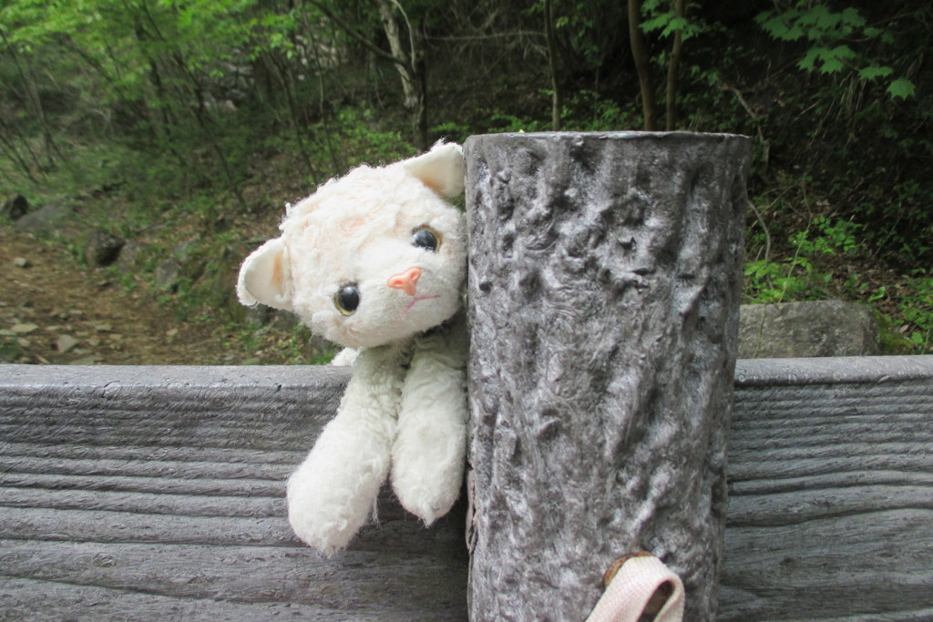 初めての山登り♡