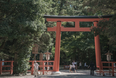 下鴨神社