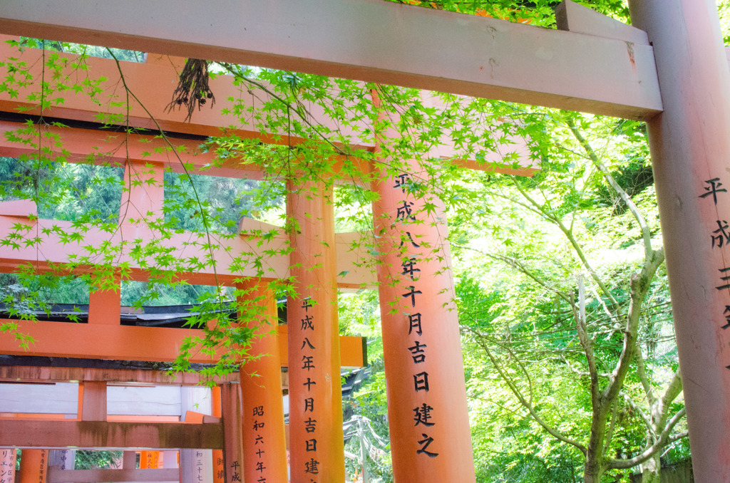 涼