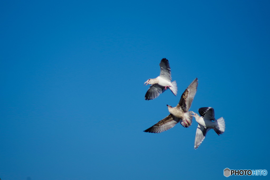 コント、仲良くね④