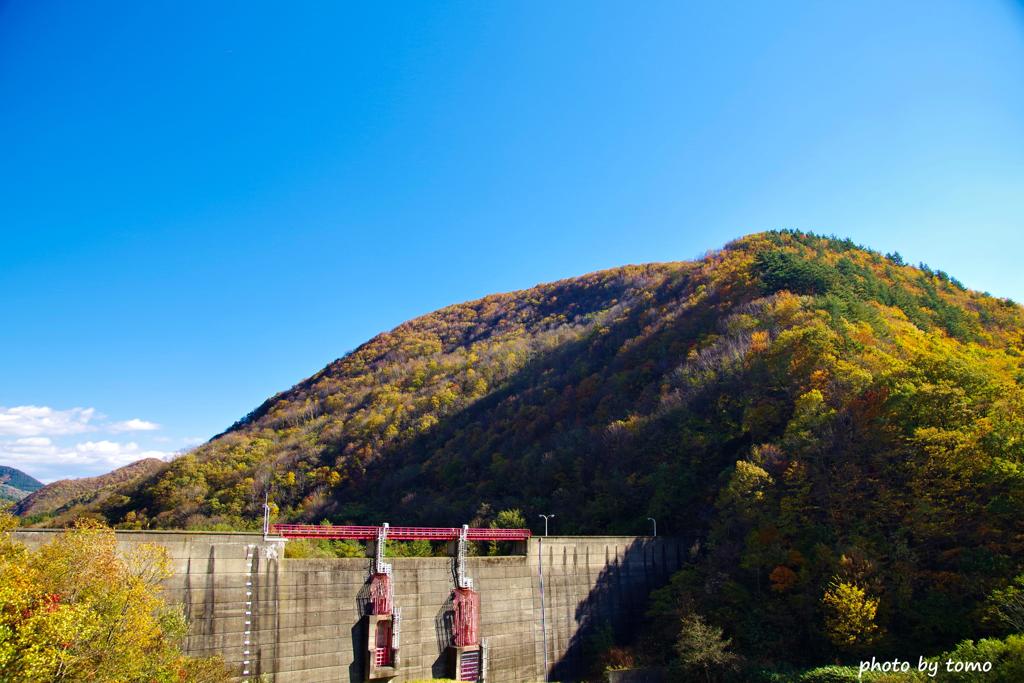 田子町の紅葉①