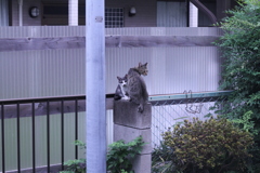 お母さんと一緒