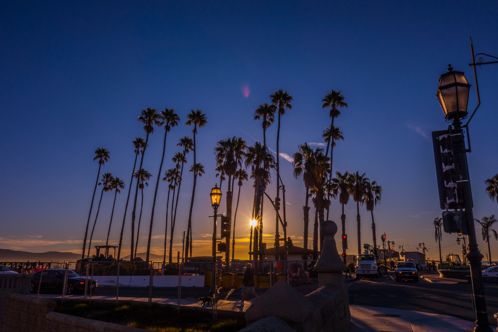 Californiaのヤシの木と朝日