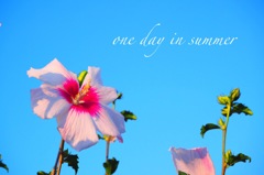 one day in summer
