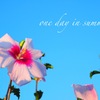 one day in summer