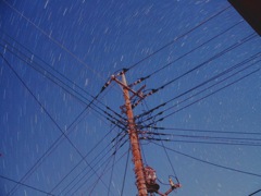 庭の空