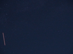 庭からの空