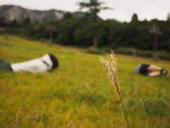 ここは布団じゃありませんよ