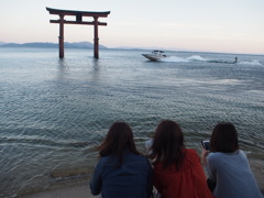 めっちゃきれー