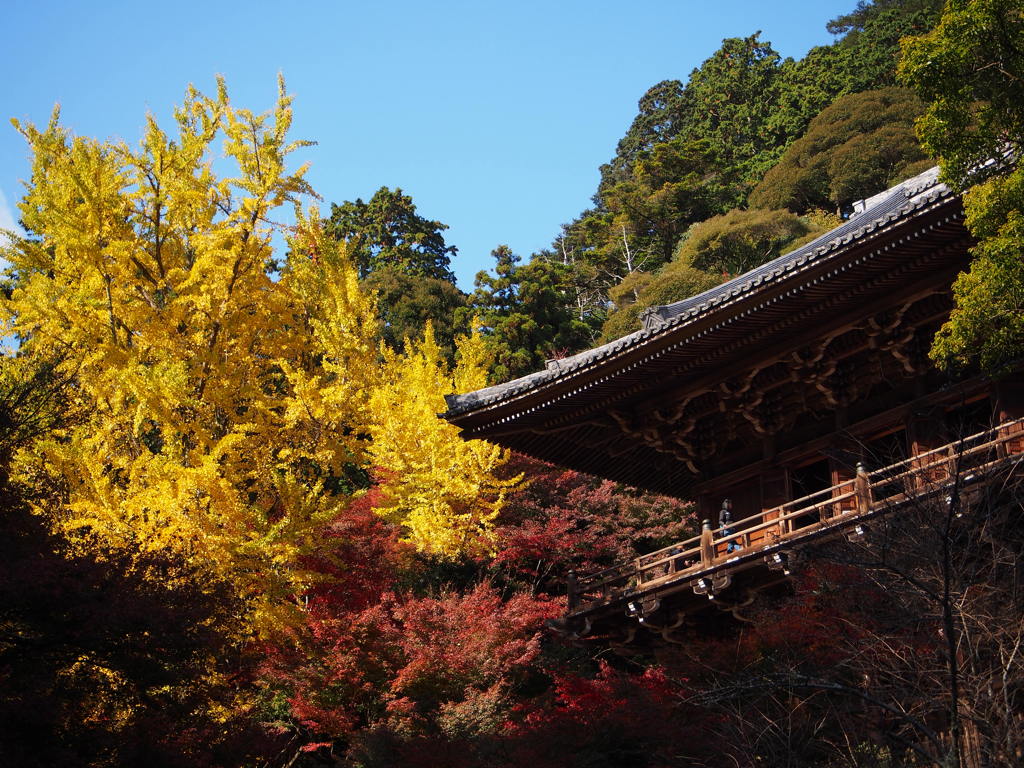 書写山の紅葉