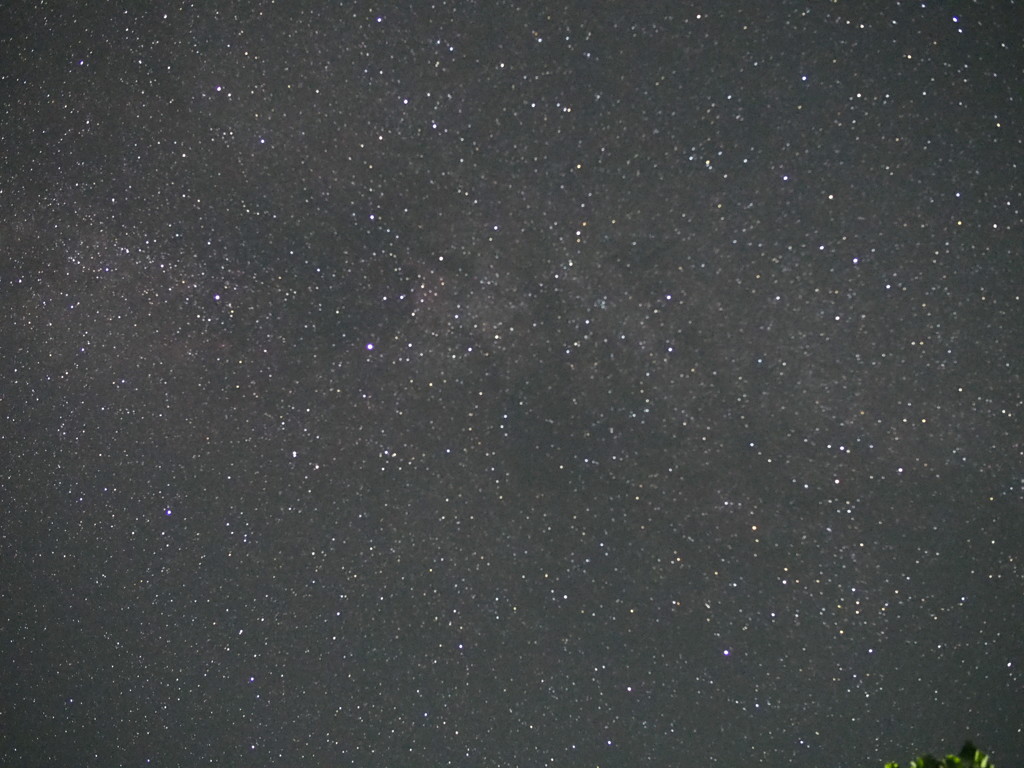 P8132399
