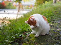 ぼくって可愛いでしょ
