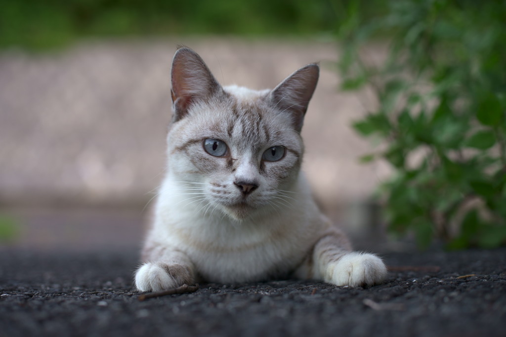 すこし愛して、なが～く愛して