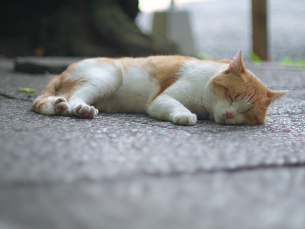 キモちE