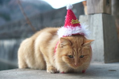 Last Christmas