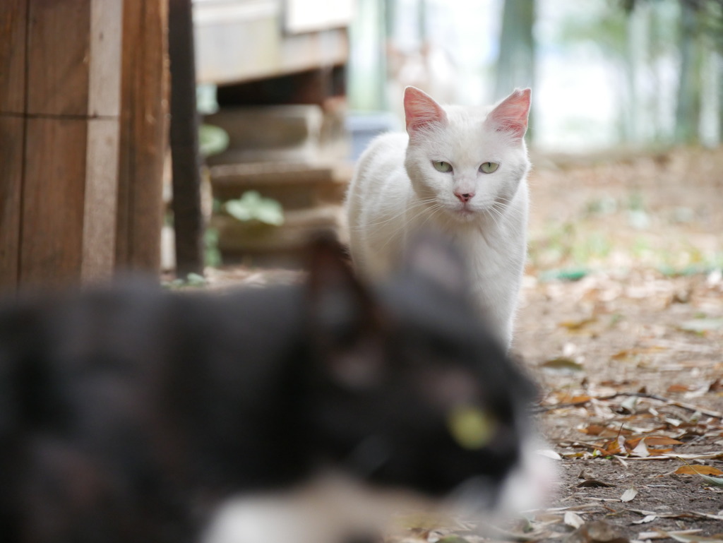 お前～撮影中だぞ。