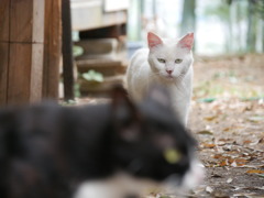 お前～撮影中だぞ。